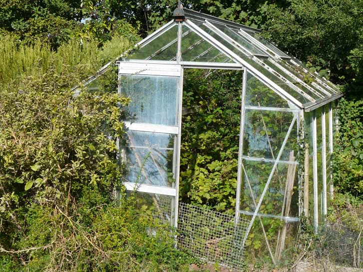 Garden Clearance - Greenhouse