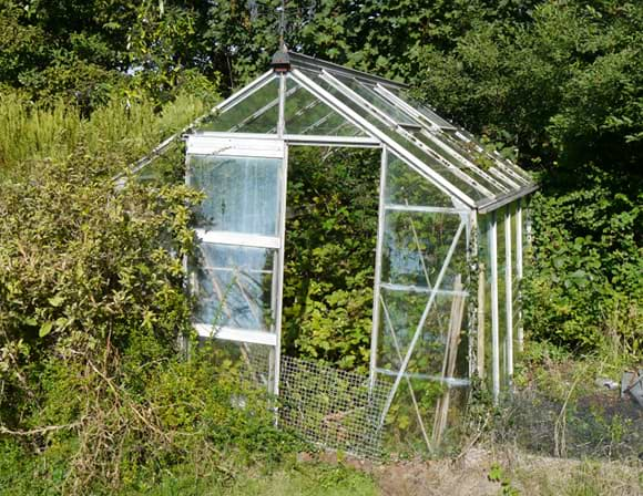 Garden Clearance - Greenhouse